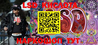 шишки Абакан