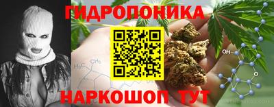 стафф Азнакаево