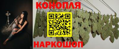 шишки Абакан