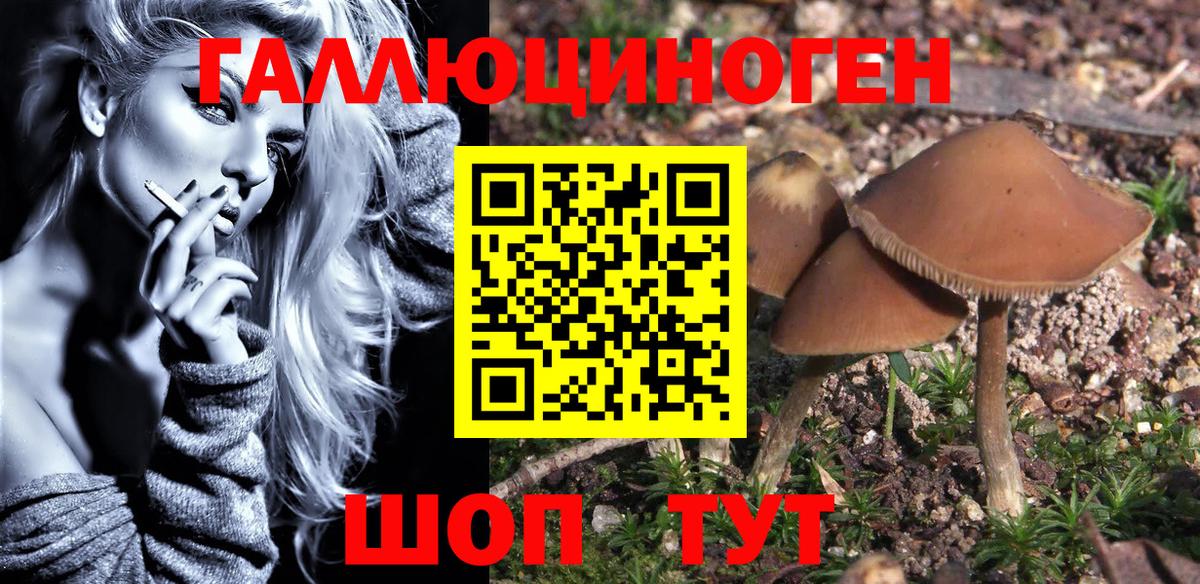 Галлюциногенные грибы мухоморы  Галлюциногенные грибы Psilocybe  цены наркотик  Вход с VPN  Абинск 